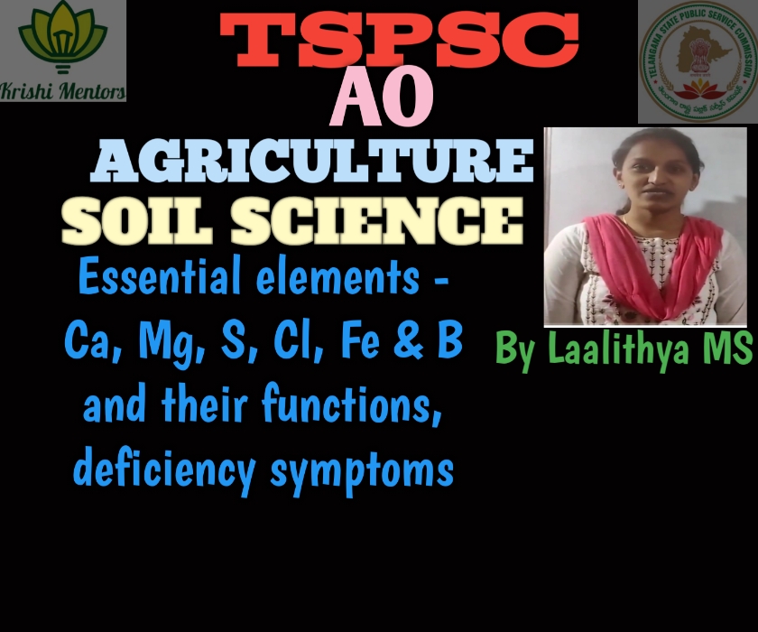 Essential elements  - Ca, Mg, S, Cl, Fe, B and their functions, deficiency symptoms