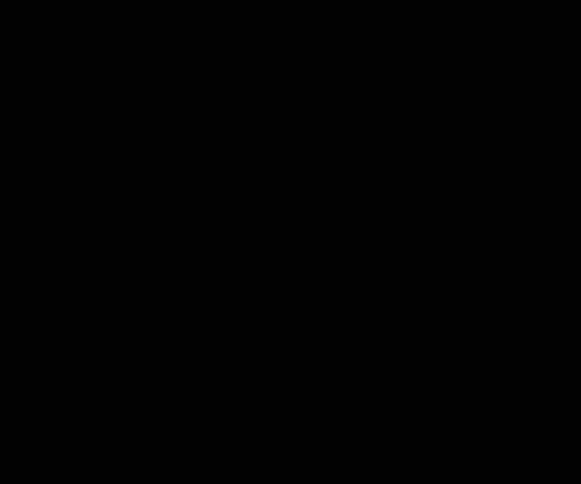 Insect Morphology - Insect Abdomen