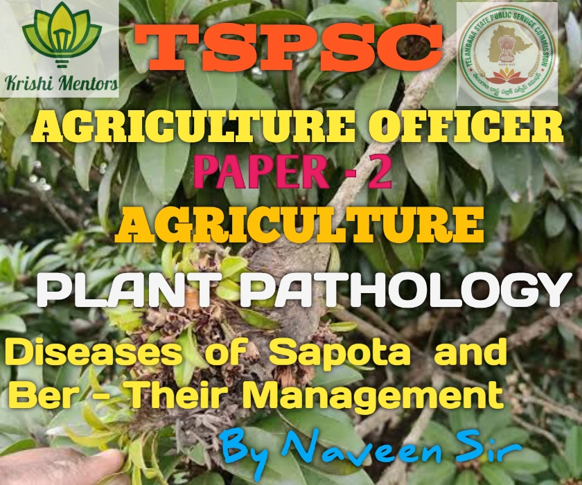 Diseases of Sapota, Ber fruits  and their management